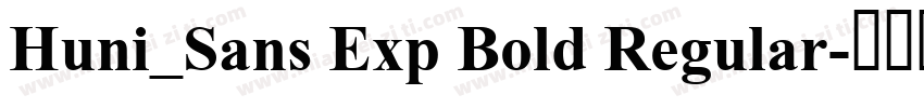 Huni_Sans Exp Bold Regular字体转换